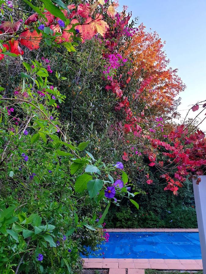 Sunny Lane Apartment Franschhoek Luaran gambar
